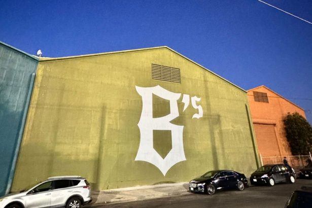 The Oakland Ballers let an AI manage the team. What could go wrong?