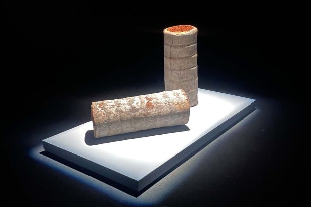 The São Paulo Biennial Is the Calm Before a Storm