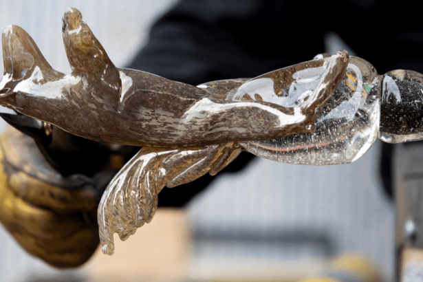 Refract: The Seattle Glass Experience Returns This October