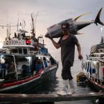 Powerful images show dark side of South-East Asia’s fishing industry
