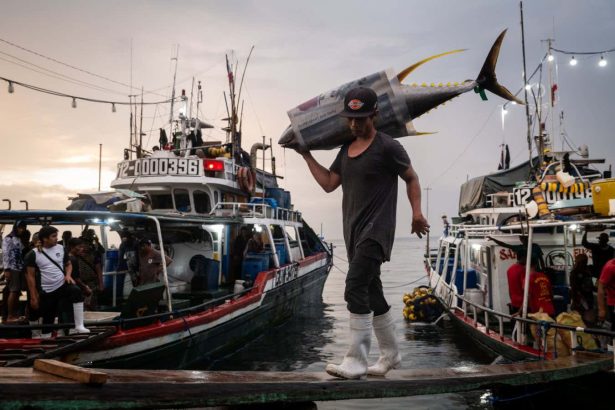 Powerful images show dark side of South-East Asia’s fishing industry