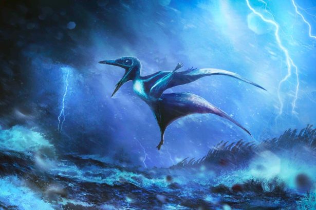 Baby pterosaurs could fly right after hatching – but crashed in storms