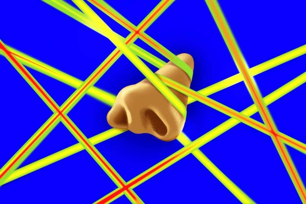 Why your nose could be the perfect window into your mental state