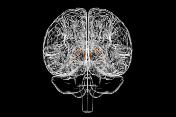 Tiny structure in the brain could be driving how much you eat