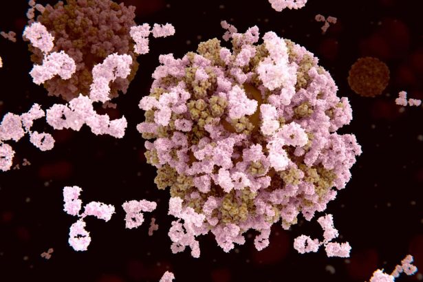 Antibody cocktail could work as a universal flu treatment