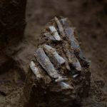 30,000-year-old toolkit shows what ancient hunter carried in a pouch
