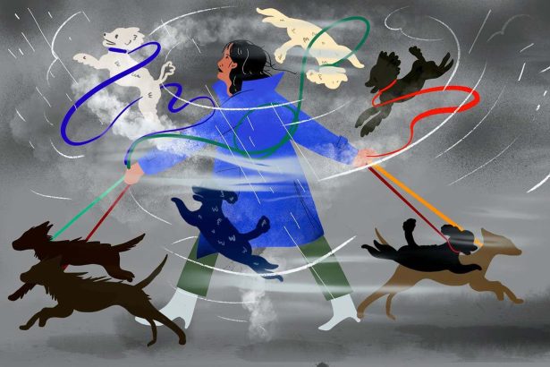 The real reason our weather is going to the dogs