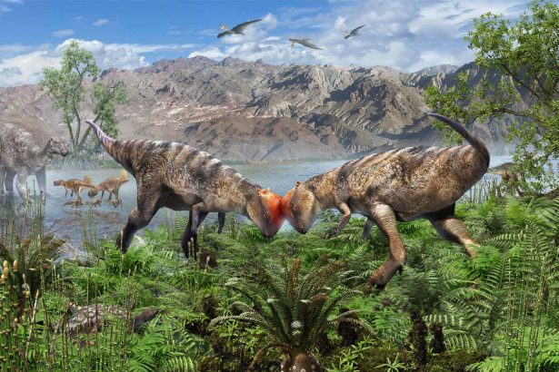 Dome-headed dinosaur from Mongolia is the oldest ever found