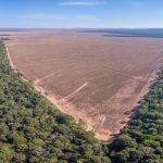 Cutting down the Amazon will bring extreme rain, wind and heat