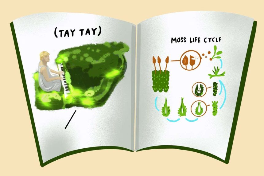 How Taylor Swift is helping botany gain celebrity status