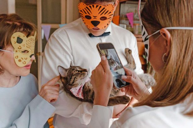 ‘Funny’ videos of stressed and frightened pets are no laughing matter