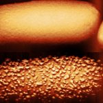 Extraordinary pictures show what a common antibiotic does to E. coli