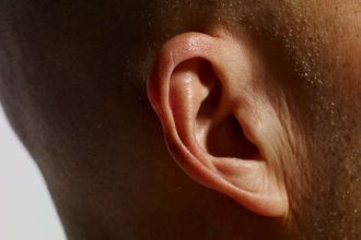 Our brain ‘swivels’ to focus on sounds from different directions