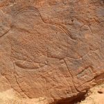 Ancient artists created giant camel engravings in the Arabian desert