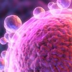 Egg cells made with DNA from human skin fertilised in the lab