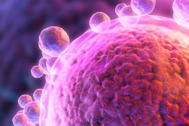 Egg cells made with DNA from human skin fertilised in the lab