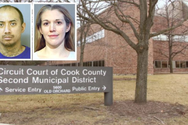 Mail thief, package room burglar get ‘fresh starts’ at Cook County drug court – CWB Chicago