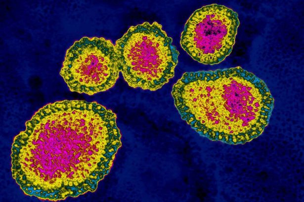 Some viruses like to cheat – and that may be good for our health