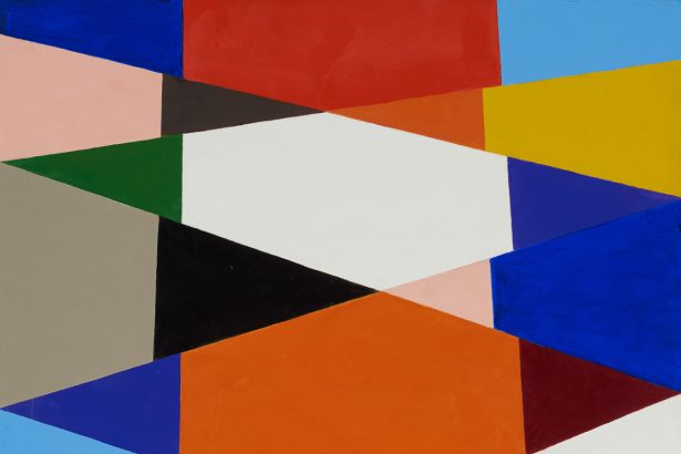 Stephen Westfall’s Avian Abstractions