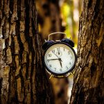 Study suggests most Americans would be healthier with ‘permanent standard time’