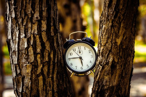 Study suggests most Americans would be healthier with ‘permanent standard time’