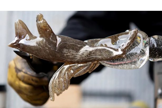 The Seattle Glass Experience Returns This October