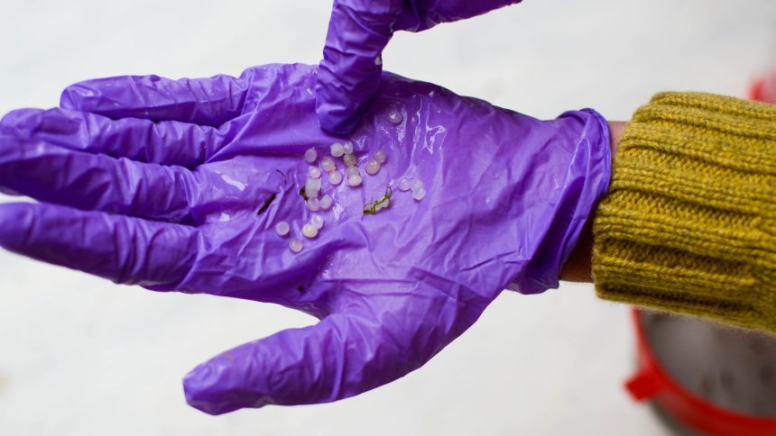 This Pennsylvania settlement could set the standard for preventing tiny plastic pellet pollution This Pennsylvania settlement could set the standard for preventing tiny plastic pellet pollution