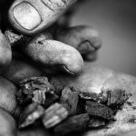 This new machine churns out carbon-storing biochar on the cheap