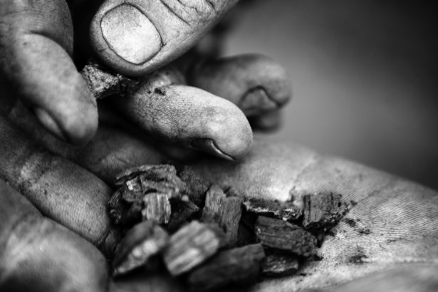 This new machine churns out carbon-storing biochar on the cheap