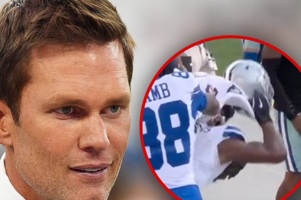 Tom Brady’s ‘Kick The Dog’ Comment Sparks Backlash