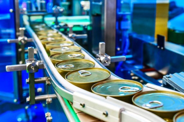 What Is Life Cycle Analysis And How Can You Use Them To Make Companies Deliver Sustainable Products?