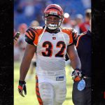 Ex-NFL Star Rudi Johnson Dead At 45
