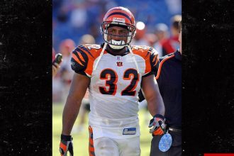 Ex-NFL Star Rudi Johnson Dead At 45