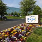 Is Incyte Stock Outperforming the S&P 500?
