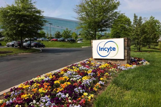 Is Incyte Stock Outperforming the S&P 500?