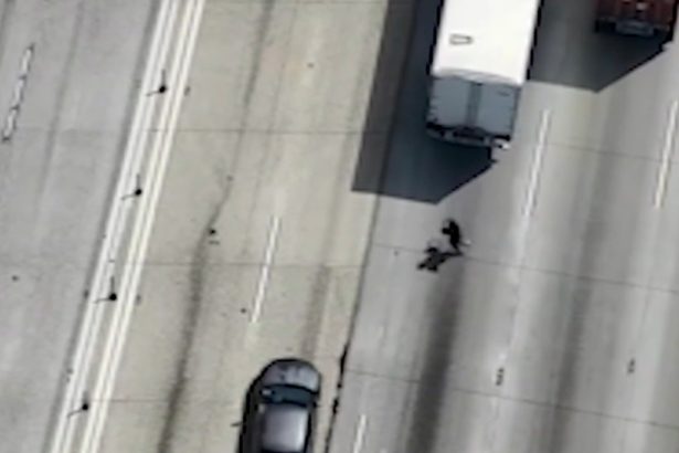LA assault suspect plays freeway Frogger to evade arrest — but ends up trolled by cops, wild video shows