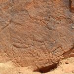 12,000-Year-Old Life-Sized Camel Etchings Reveal a Lost World in the Desert
