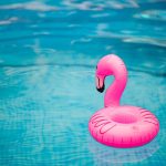 Pool Corporation (POOL): A Bull Case Theory
