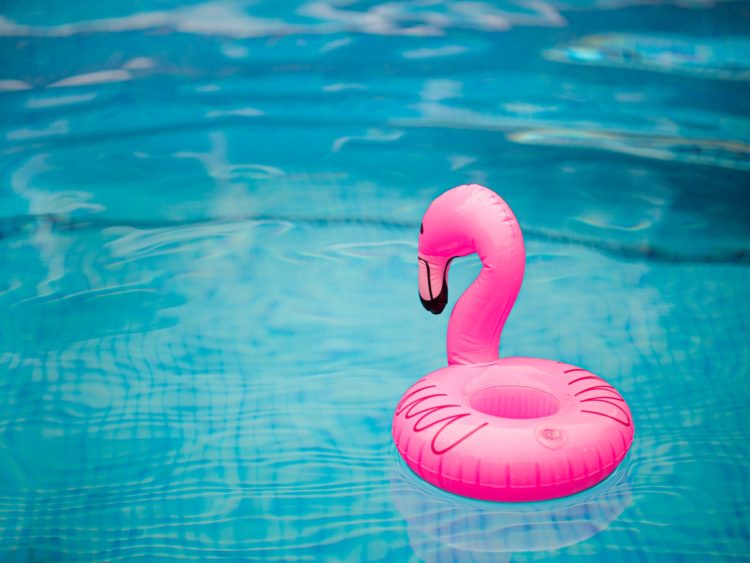 Pool Corporation (POOL): A Bull Case Theory
