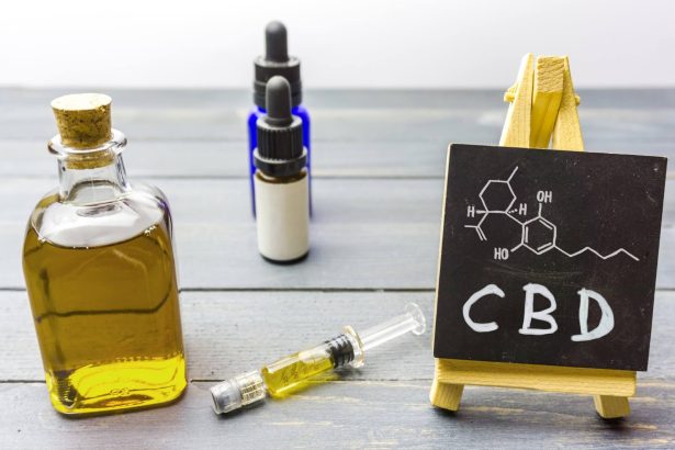 I Tried CBD Oil for 30 Days. Here’s How I Feel – Mellowed