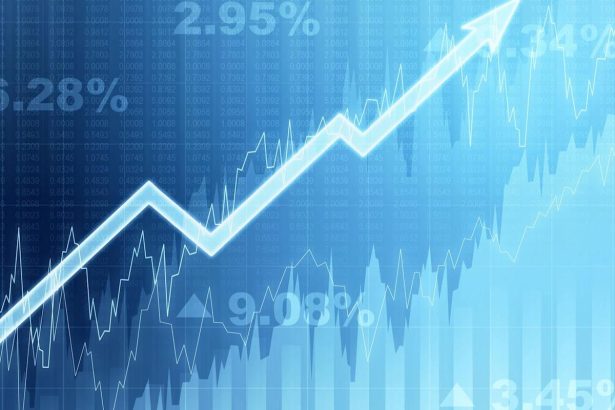 The 5 Best S&P 500 Stocks of the Last 10 Years