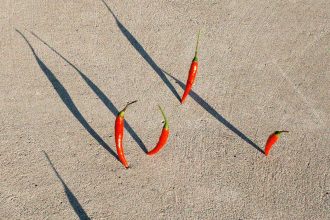 11 Delicious Vitamin A Foods to Boost Your Immune System