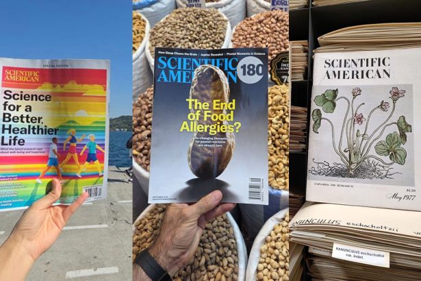 Announcing the #SciAmInTheWild Photography Contest Short List