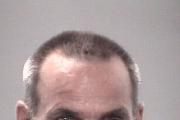 Florida man arrested for allegedly killing, cooking, and eating pet peacocks in bizarre revenge plot