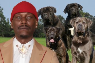 Tyrese Fully Cooperating With Cops After His Mastiff Kills Neighbor's Dog