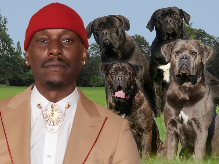 Tyrese Fully Cooperating With Cops After His Mastiff Kills Neighbor's Dog