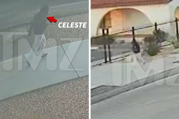 Celeste Rivas Seen on Security Cam in Lake Elsinore Before Disappearance