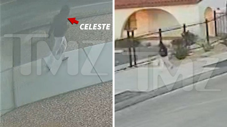 Celeste Rivas Seen on Security Cam in Lake Elsinore Before Disappearance
