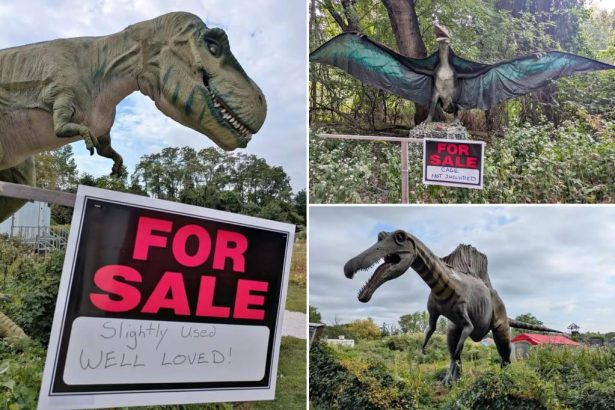 NJ theme park selling life-size dinosaurs — including T. Rex — on Facebook before closing after 14 years