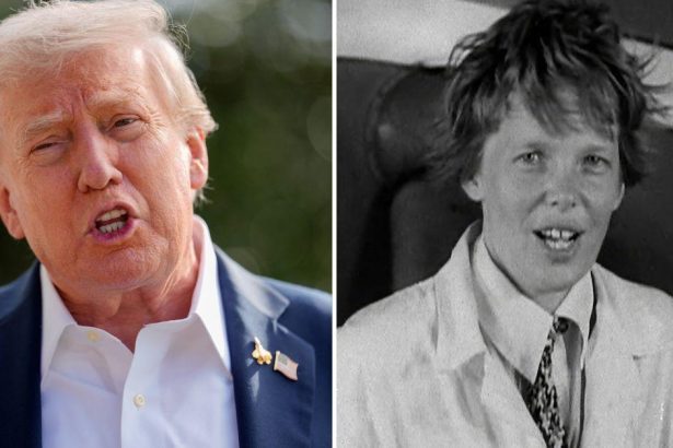 Trump's Latest 'Epstein Distraction'?: Prez Orders Release of Amelia Earhart Files… as He Ignores Public's Pleas to Reveal Info on Sex Offender